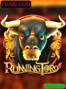 Explorando RunningToro: Um Guia Completo para Iniciantes